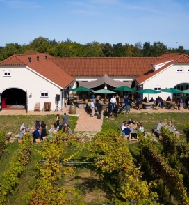 Locatie met meerwaarde Het Wijnbouwcentrum in Groesbeek