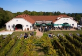 Nederlands wijnbouwcentrum duurzame menslocatie met wijn in de hoofdrol_21