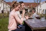 Nederlands wijnbouwcentrum duurzame menslocatie met wijn in de hoofdrol_11